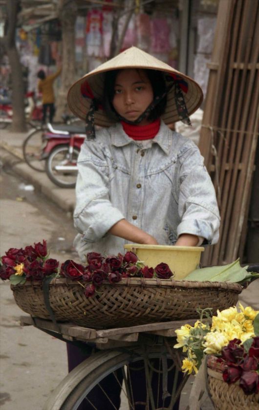 Beautiful Flowers For Everyone