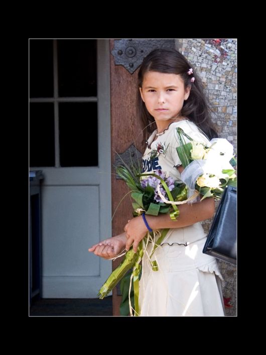 Beautiful Flowers For Everyone