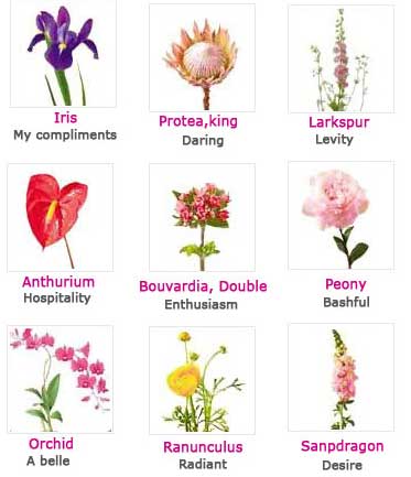 Different Types Of Flowers And Their Names And Meanings / Flower Names ...