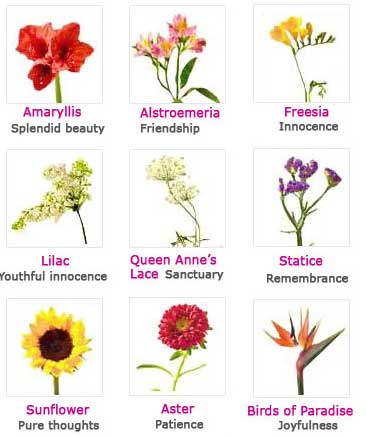 Flowers And Their Meanings | Funzug.com
