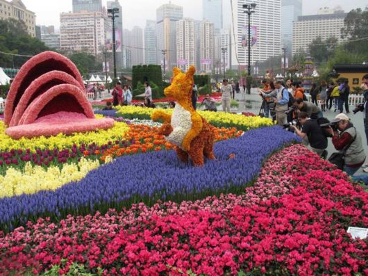 The Hong Kong Flower Show