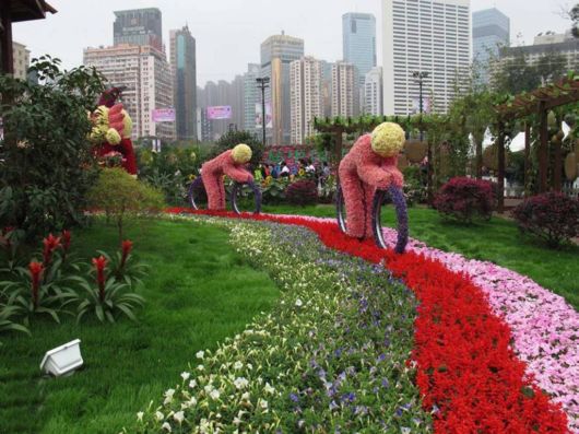 The Hong Kong Flower Show