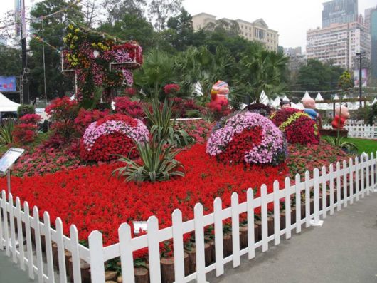 The Hong Kong Flower Show