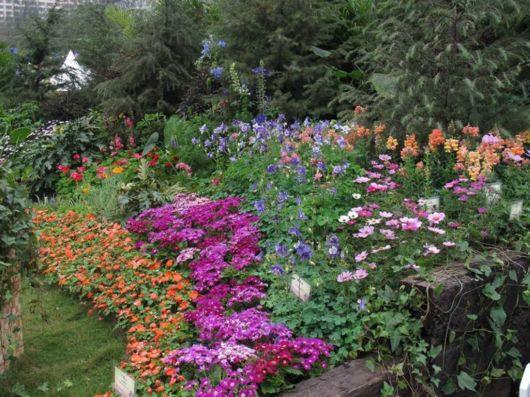 The Hong Kong Flower Show
