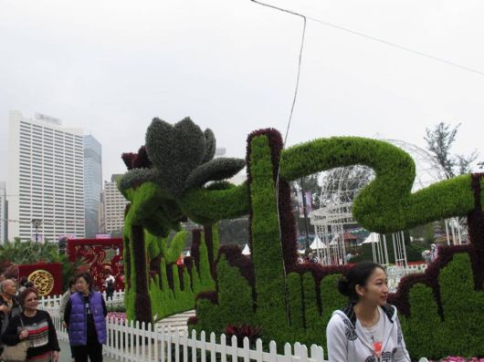 The Hong Kong Flower Show