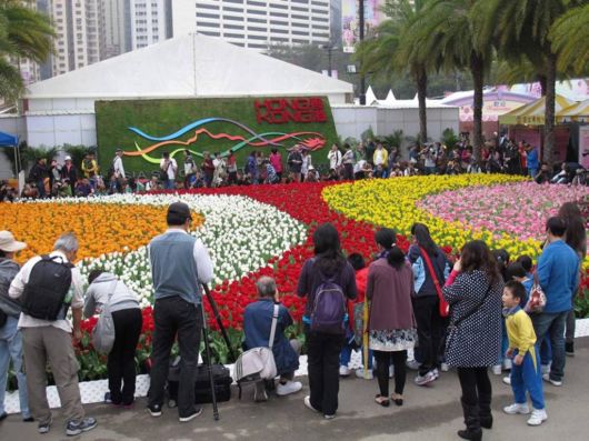 The Hong Kong Flower Show