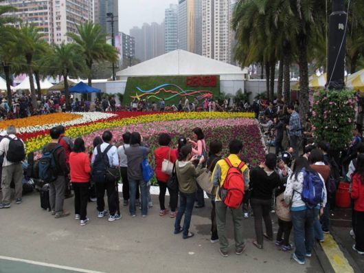 The Hong Kong Flower Show
