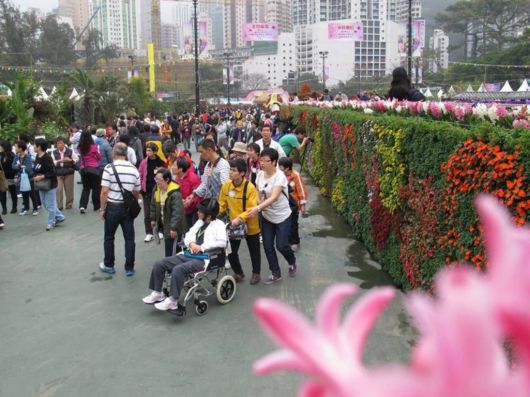 The Hong Kong Flower Show