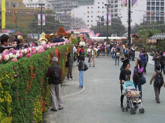 The Hong Kong Flower Show