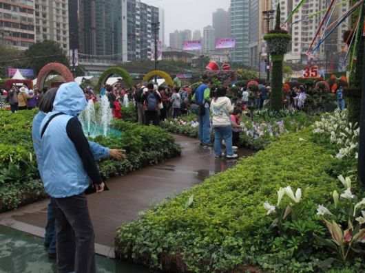 The Hong Kong Flower Show
