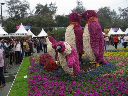 The Hong Kong Flower Show