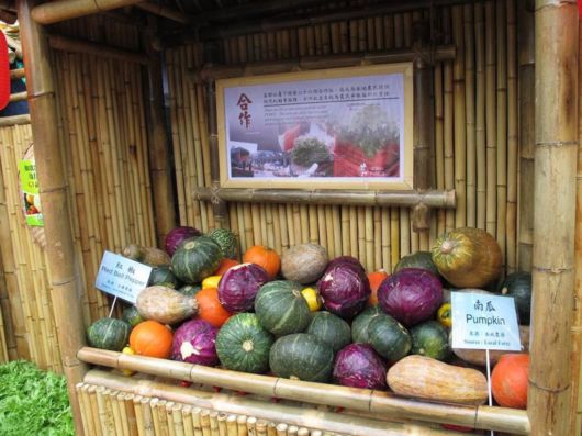 The Hong Kong Flower Show