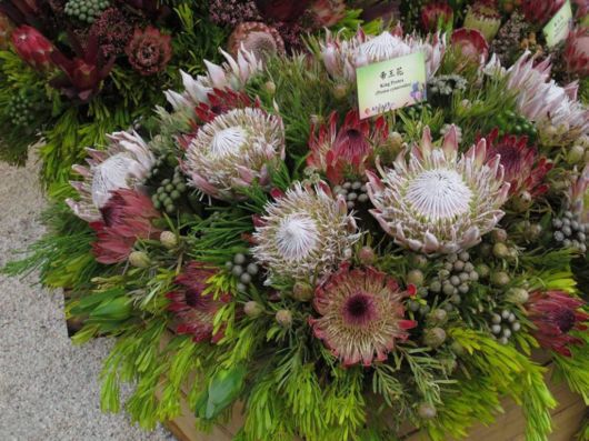 The Hong Kong Flower Show