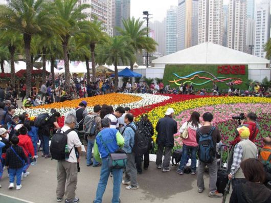 The Hong Kong Flower Show