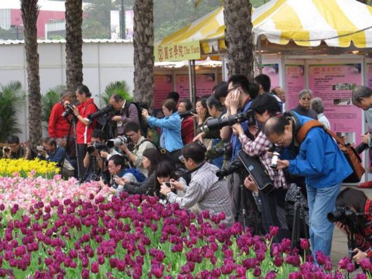The Hong Kong Flower Show