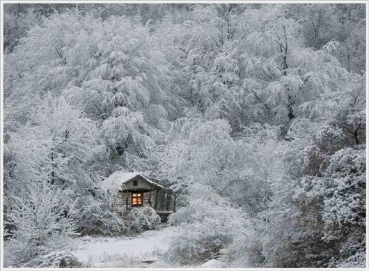 Magnificent Snowy Landscapes Shots
