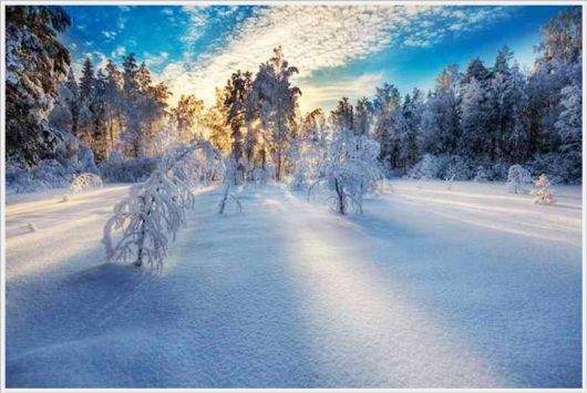 Magnificent Snowy Landscapes Shots