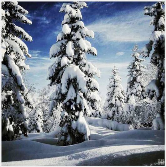 Magnificent Snowy Landscapes Shots