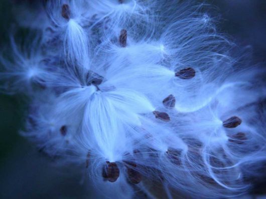 National Geographic Photos Of The Month