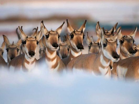 National Geographic Photos Of The Month