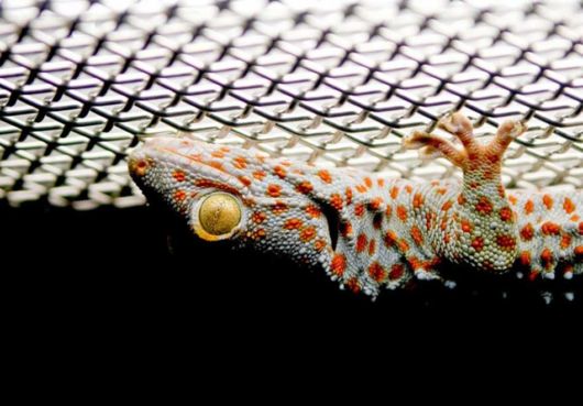 National Geographic Photos Of The Month