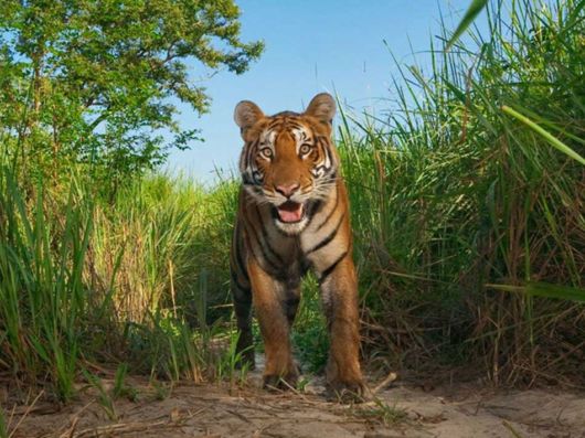 National Geographic Photos Of The Month