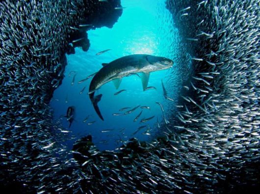 National Geographic Photos Of The Month