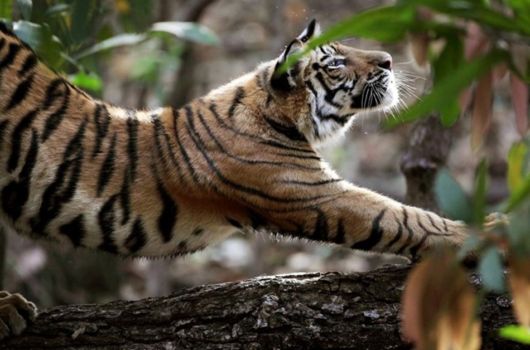 National Geographic Photos Of The Month