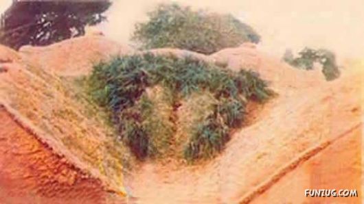 Nature Can Be Damn P