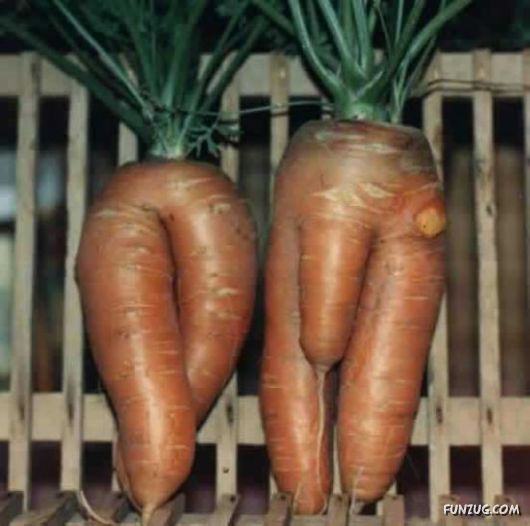 Nature Can Be Damn P