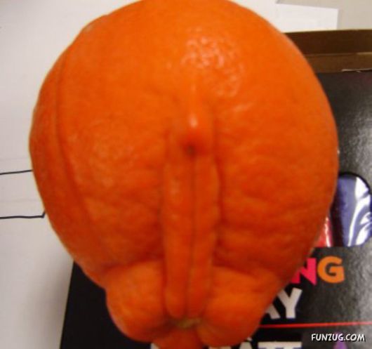 Nature Can Be Damn P