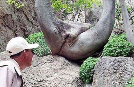 Nature Can Be Damn P