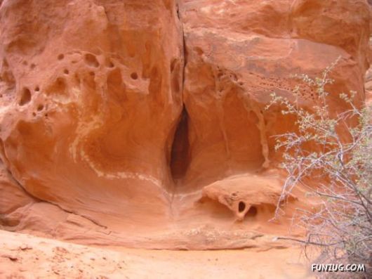 Nature Can Be Damn P