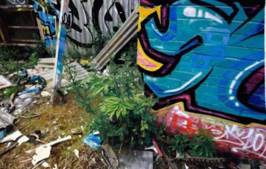 These Are Actually Drawings, Done With A Pencil