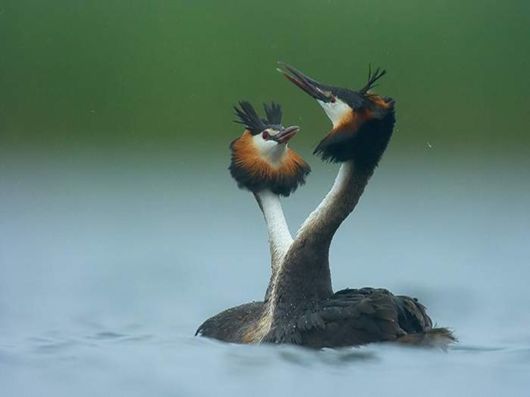 Live Like You Love It