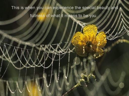 Live Like You Love It