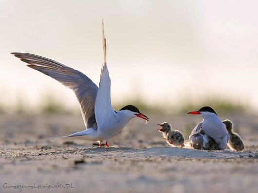 Live Like You Love It