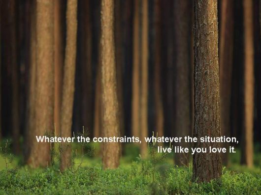 Live Like You Love It