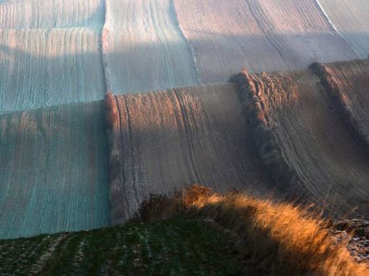 Live Like You Love It