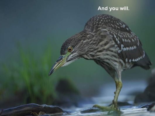 Live Like You Love It