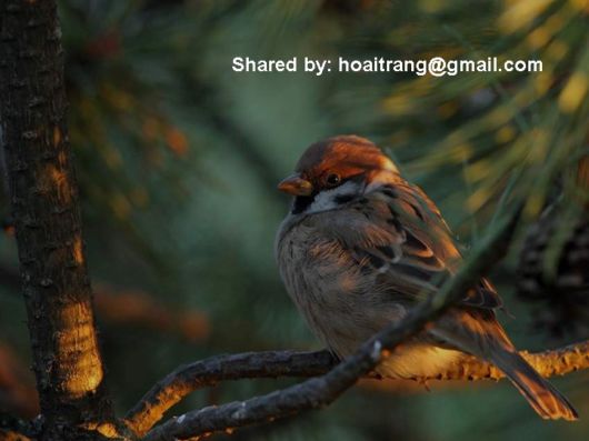 Live Like You Love It