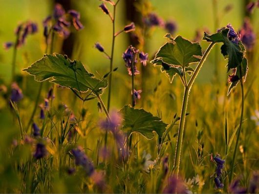 Live Like You Love It