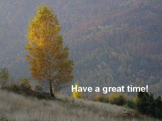 Live Like You Love It