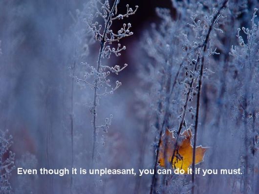 Live Like You Love It