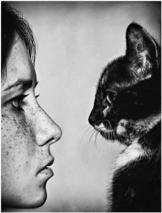 Amazing Book-Art Pieces