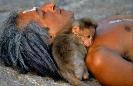 Amazing Book-Art Pieces