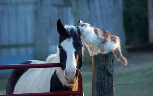 Amazing Book-Art Pieces