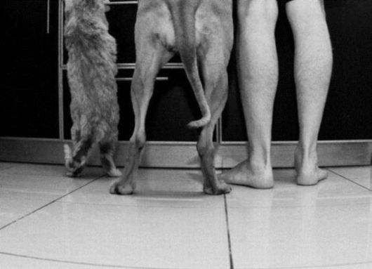 Amazing Book-Art Pieces