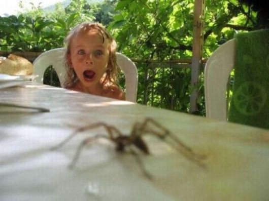 Amazing Book-Art Pieces