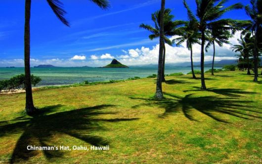 A Beautiful Trip To Hawaii